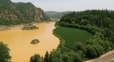 Rio Amarelo mudou de cor após a China plantar milhões de hectares de árvores